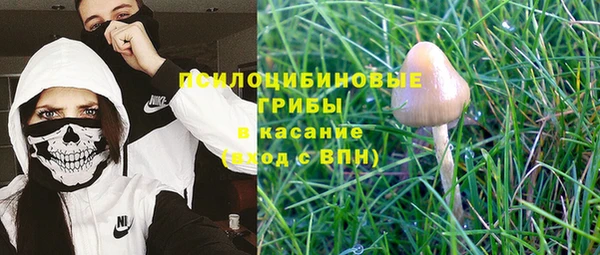 МДПВ Аркадак