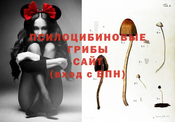 МДПВ Аркадак