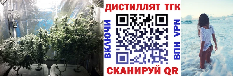 даркнет сайт  Певек  Дистиллят ТГК гашишное масло 